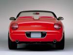 Ford Thunderbird Sports Roadster Concept 2001 года